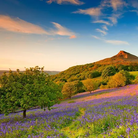 Sunny Сasa de vacaciones Bulmer