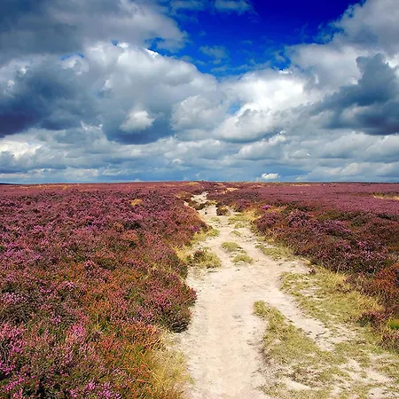 Sunny Сasa de vacaciones Bulmer