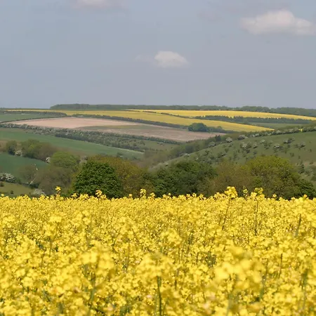Sunny Bulmer